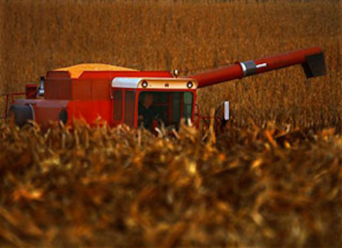 Mnet 147468 Cornharvestlead