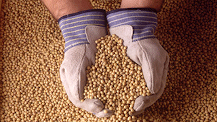 Mnet 147540 Corn And Soybeans Lead 0