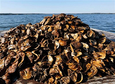 Mnet 147623 Oysterrestorationprojectlead