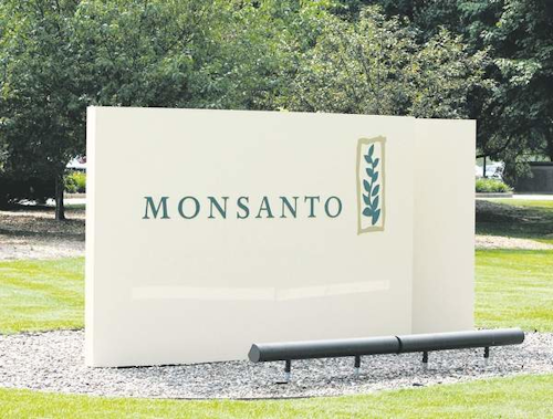 Mnet 189425 Monsanto 5