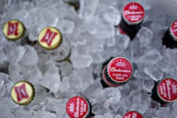 Mnet 49604 Miller Bud Ap