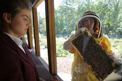 Mnet 122405 Pestbeemakers