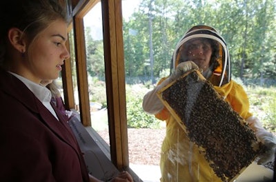 Mnet 122405 Pestbeemakers