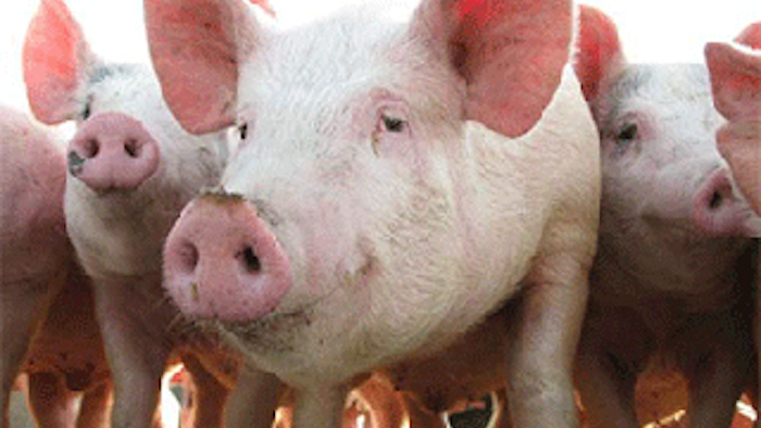 Mnet 148354 Pork Producers Lead 0