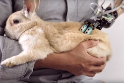 Mnet 171734 Robot Hand That Feels