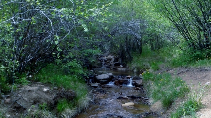 Mnet 50491 Creek Wikimedia