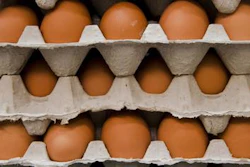 Mnet 50629 Free Range Eggs