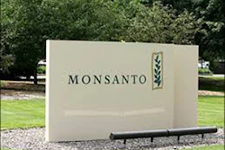 Mnet 148556 Monsanto Gmo Lead 2