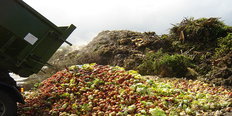 Mnet 148679 Food Waste Photolistingimage