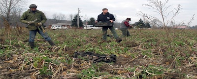 Mnet 148791 Food Safety New England Hero