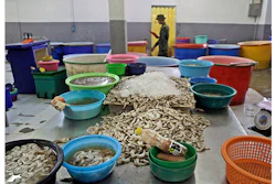 Mnet 148810 Shrimp Seafood From Slaves Listing