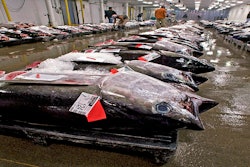 Mnet 148945 Hawaii Tuna Osbo Hero