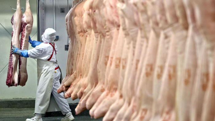 Mnet 51492 Meat Processing Ap