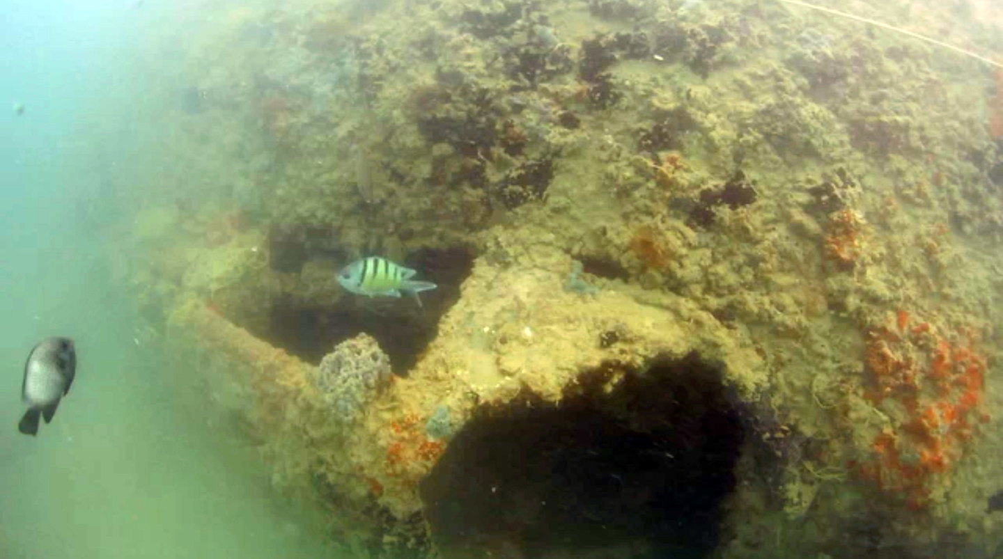 (NOAA Office of National Marine Sanctuaries via AP)