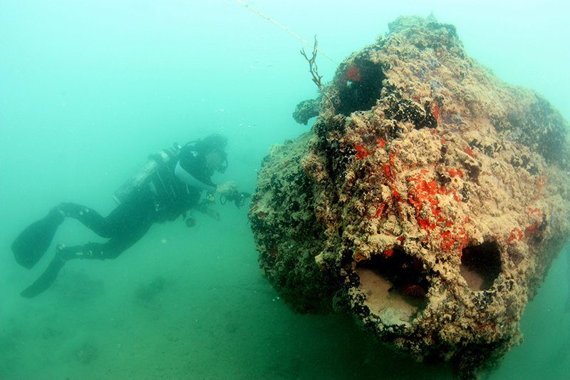 (Jeff Kuwabara, University of Hawaii Marine Option Program via AP)