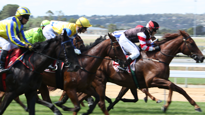 Mnet 122759 Horseracing