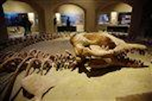 Mnet 122762 Mideast Egypt Ap Tn