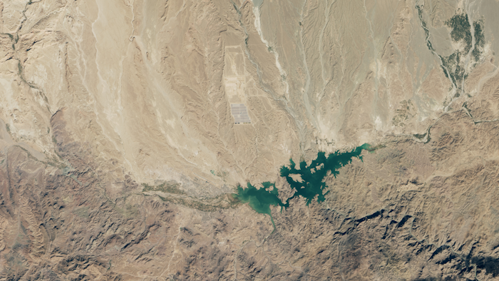 A zoomed-out version of the same plant photo above. (Photo courtesy of NASA Earth Observatory)