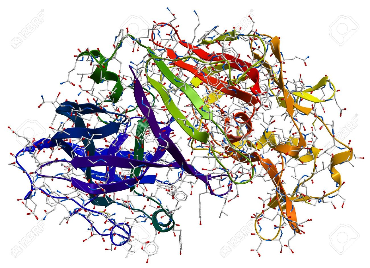 Mnet 123031 Proteinstructure