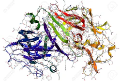 Mnet 123031 Proteinstructure