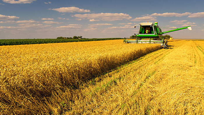 Mnet 149344 Ag Wheat Listing Image