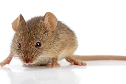 Mnet 149537 Pestcontrolmainlisting1