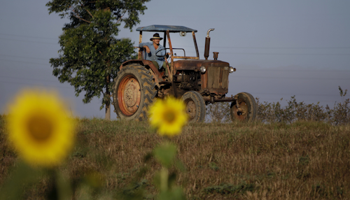 In this Feb. 22, 2011 file photo, a farmer drives his tractor in Pinar del Rio, Cuba. The Obama administration has approved the first U.S. factory in Cuba in more than half a century, allowing a pair of former software engineers to build a plant assembling as many as 1,000 small tractors a year. The partners were notified by Treasury Department officials in February 2016. (AP Photo/Javier Galeano, File)
