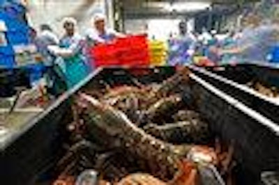 Mnet 61576 Lobster Processing Ap Tn
