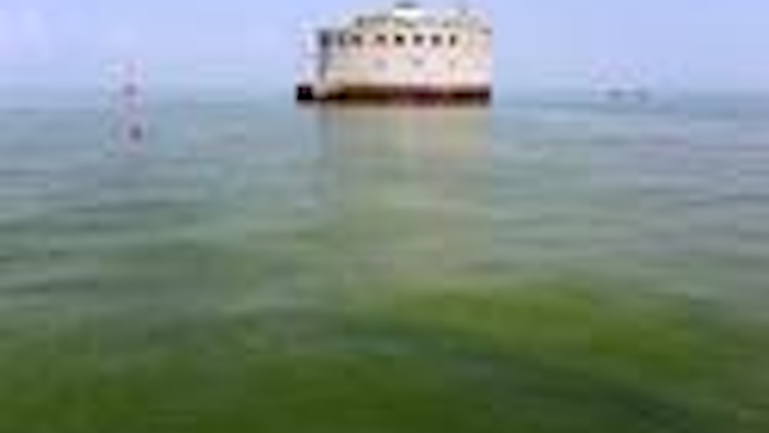 Mnet 123266 Lake Erie Algae Ap Tn