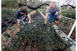 Mnet 149839 Specialityteapic