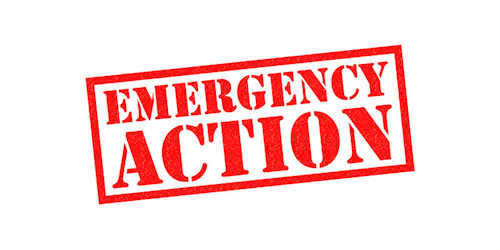 Mnet 149870 Emergency Action Listing Image