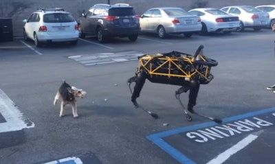 Mnet 172548 Ap Vid Robot Boston Dynamics Dog