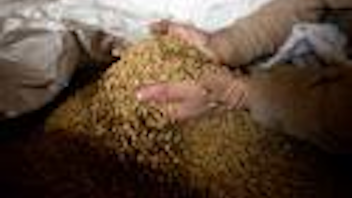 Mnet 65626 Food And Farm Craft Barley Ap Tn