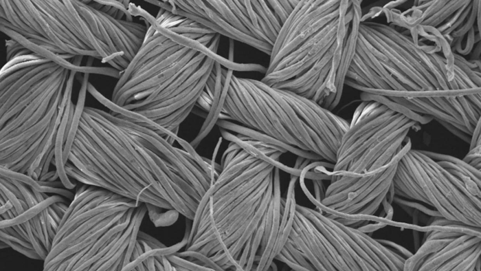 Cotton textiles covered with nanostructures, magnified 200 times. (Image credit: RMIT)