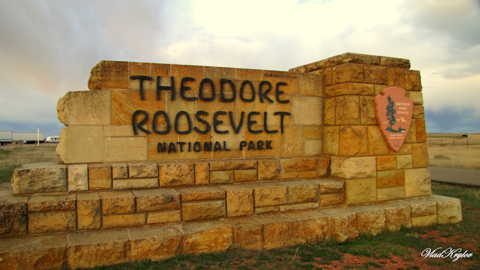 Mnet 123356 Theodore