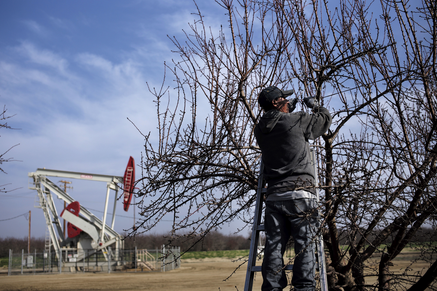 A farm worker ties almond tree branches with strings as a pumpjack operates near the orchard in Shafter, Calif. A federal review says the U.S. Environmental Protection Agency is failing to protect drinking water reserves from oilfield contamination. The U.S. Government Accountability Office review follows disclosures that California allowed oil companies to dump wastewater into some federally protected supplies of drinking-water. (AP Photo/Jae C. Hong)