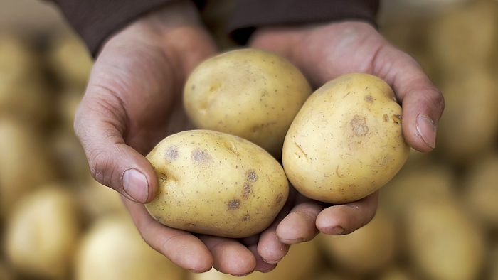 Mnet 123525 Potatofarm