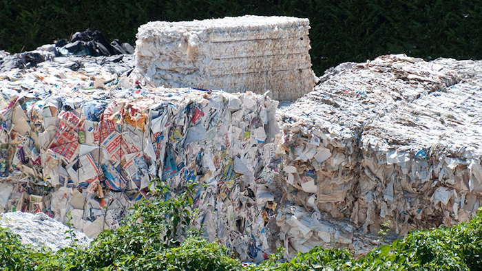 Mnet 191526 Paper Waste