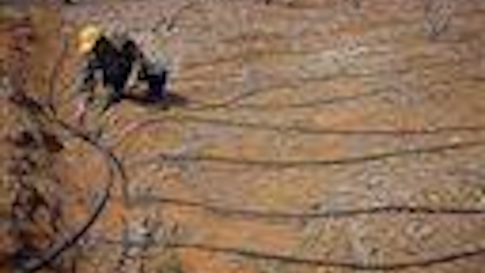Mnet 70701 China Water Pollution Ap Tn