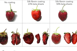 Mnet 123636 Strawberries