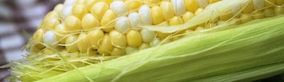 Mnet 123655 Monsantocornbig