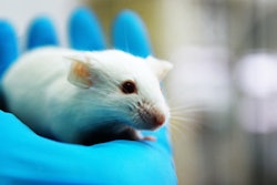 Mnet 123683 Animaltesting