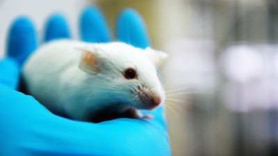 New Hampshire Well Water Contaminated by Dead Lab Animals |  