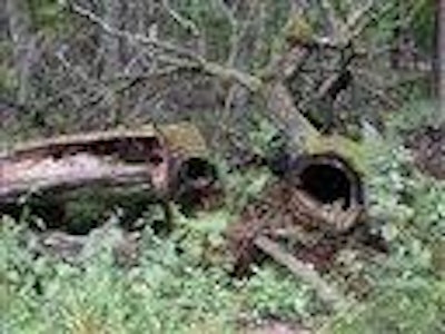 Mnet 123718 Poland Threatened Forest Ap Tn