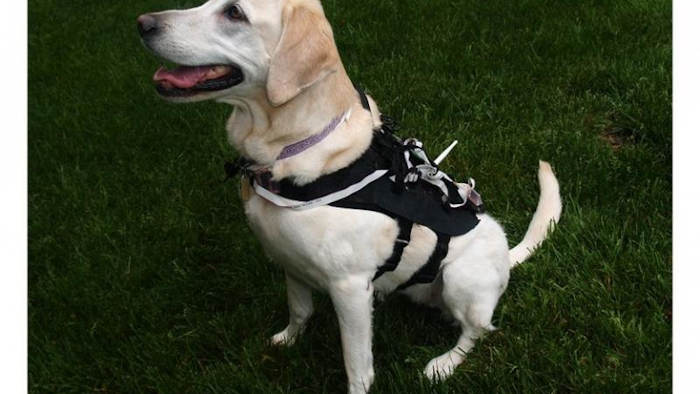 (Image credit: North Carolina State University)