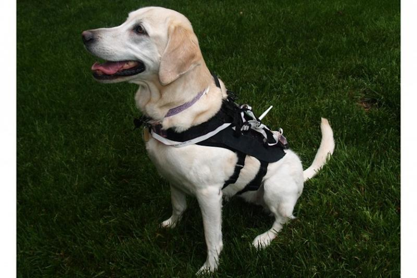 (Image credit: North Carolina State University)