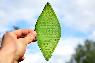 Mnet 123787 Bionicleaf