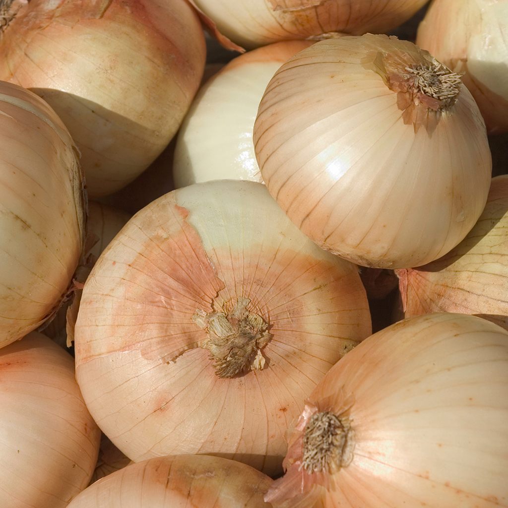 Mnet 123818 Onions