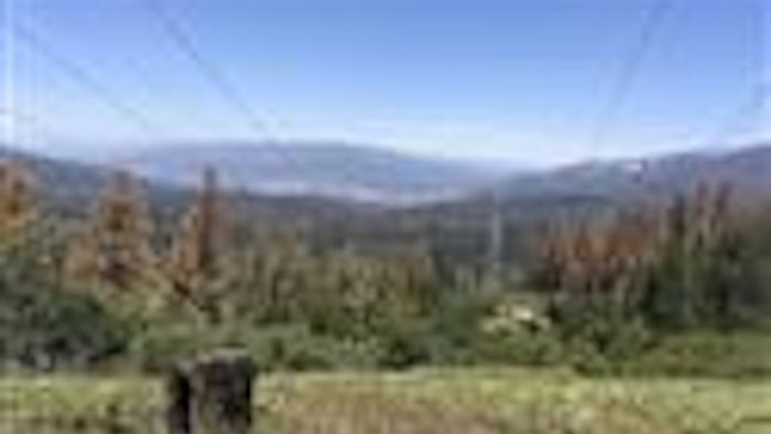 Mnet 123869 California Drought Dead Trees Ap Tn