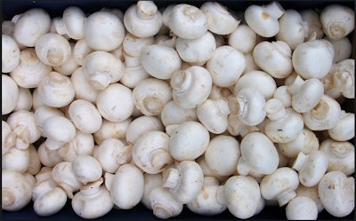 Mnet 172980 White Button Mushrooms Lower Estrogen Via Inhibiting Aromatase1